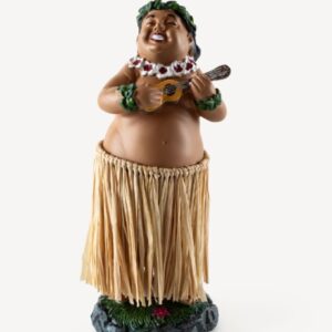 Hawaiian Hula dashboard boy